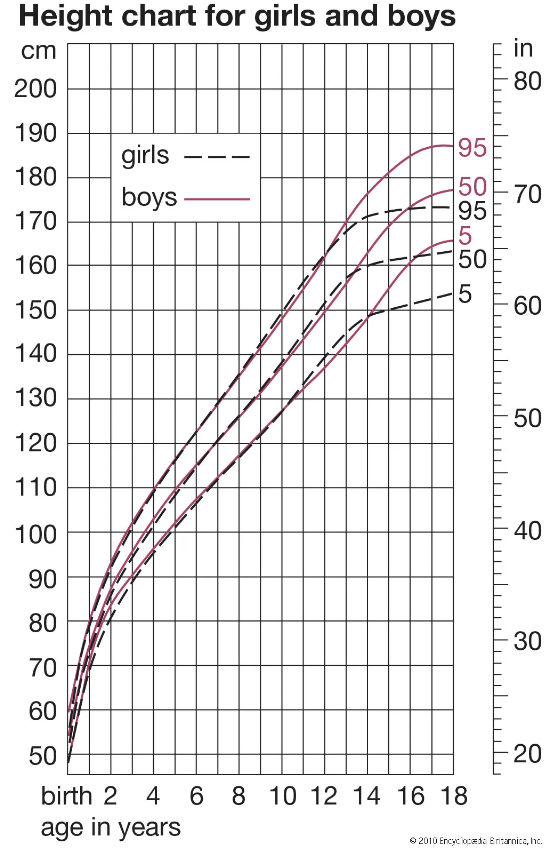 Height chart over time for girls and boys